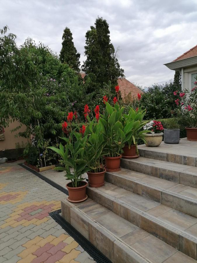 Kaktuszvirag Apartmanhaz Hajdúszoboszló Extérieur photo