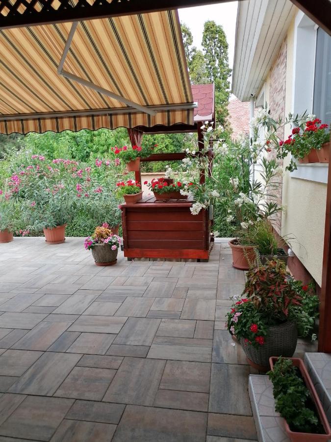 Kaktuszvirag Apartmanhaz Hajdúszoboszló Extérieur photo