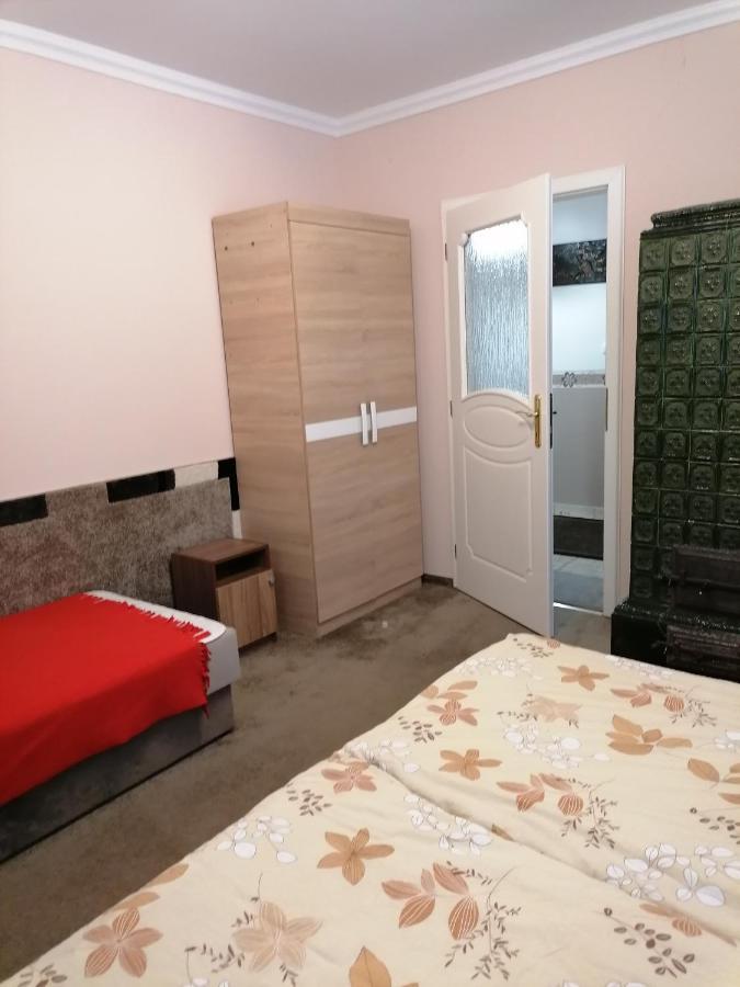 Kaktuszvirag Apartmanhaz Hajdúszoboszló Extérieur photo